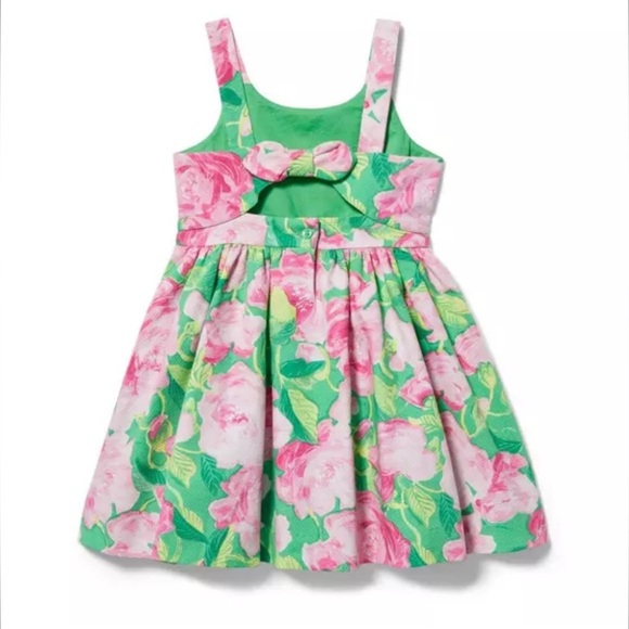 Janie and Jack Collections Green Shrub Rose Print Rose Pleated Dress - Picture 2 of 7